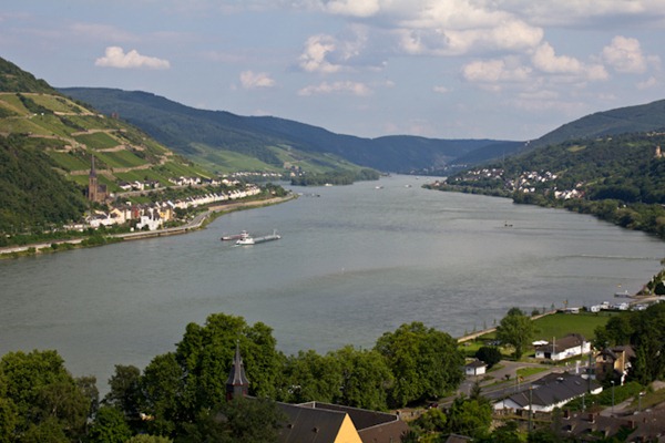 Vineyards on the Rhine Gorge near Bacharach Vineyards on the Rhine Gorge near Bacharach