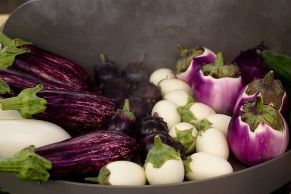 Eggplants which actually look like eggs. Eggplants which actually look like eggs.