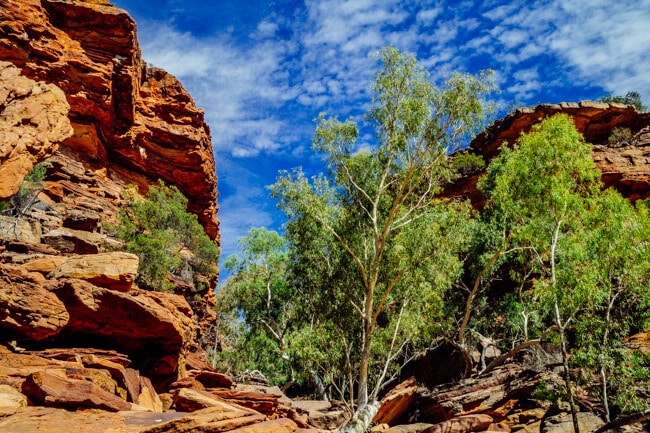Kalbarri Sandstone Gorge Kalbarri Sandstone Gorge