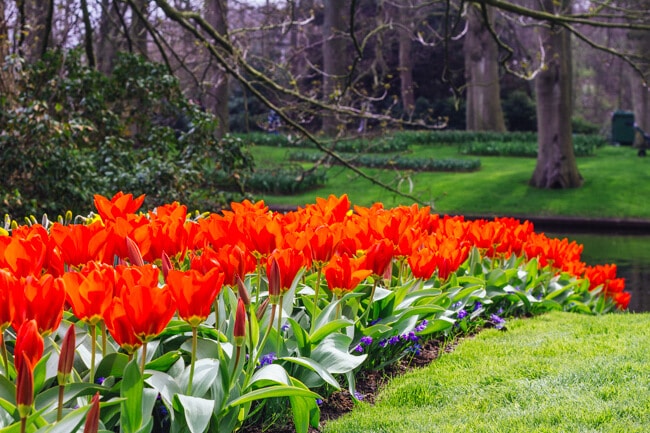 Keukenhof Garden Keukenhof Garden