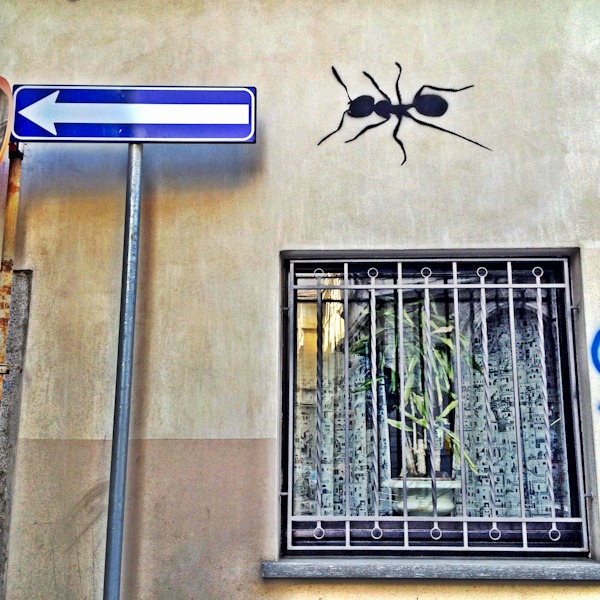Street art and weird curtains. Street art and weird curtains.