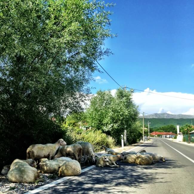 Driving obstacles in Montenegro Driving obstacles in Montenegro
