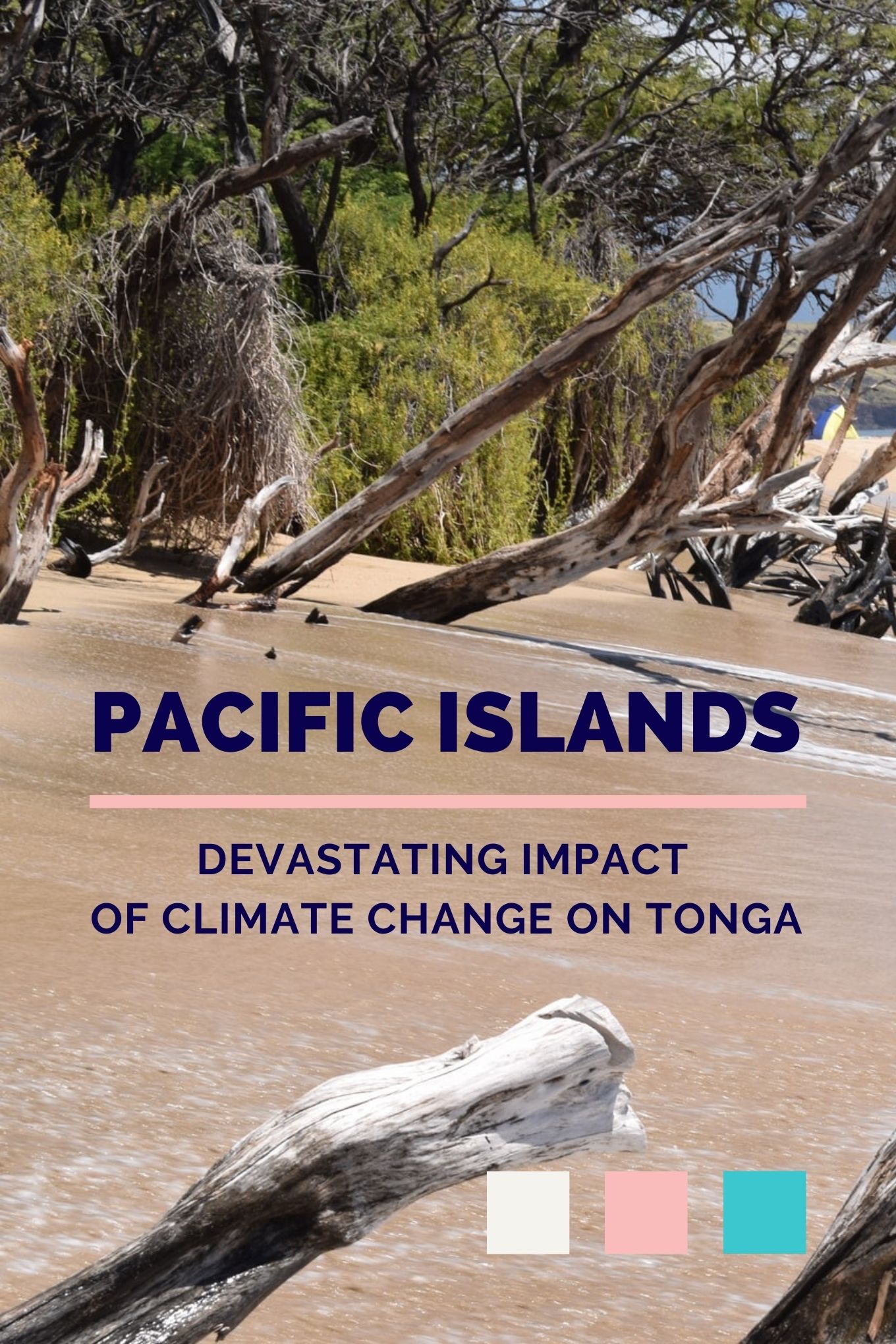 Pacific Islands Cover Photo The sea rising up on a beach