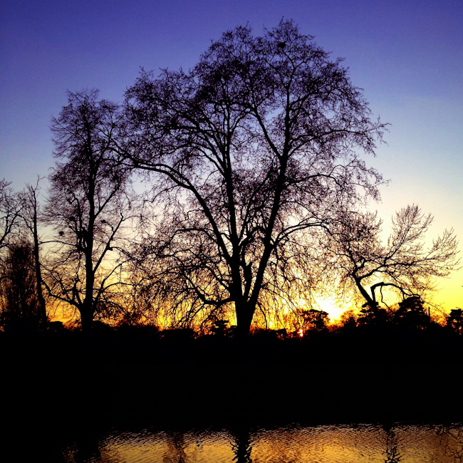 Bois de Boulogne Sunset - Paris, France Bois de Boulogne Sunset - Paris, France
