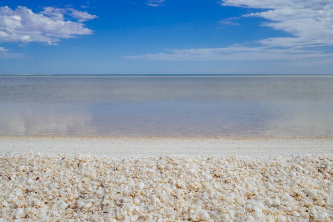 Shell Beach Shark Bay Shell Beach Shark Bay