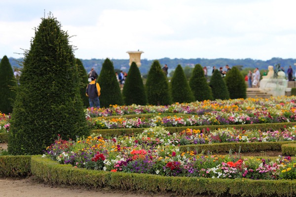 Flowers and Tourists Flowers and Tourists