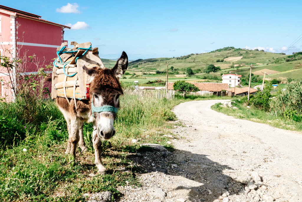 Hiking the Via Egnatia Traffic on the Via Egnatia